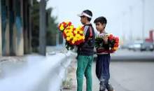 اجرای طرح ساماندهی کودکان گل‌فروش حاشیه بزرگراه شهید هاشمی و بهشت زهرا(س)