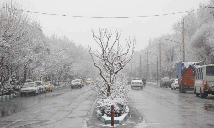 حال و هوای منطقه 16 در یک روز برفی  <img src="/images/picture_icon.gif" width="16" height="13" border="0" align="top">