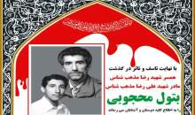 حاجیه خانم محجوبی به همسر و فرزند شهیدش پیوست