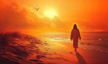 هنر زندگی (۲۰۰)  <img src="/images/video_icon.gif" width="16" height="13" border="0" align="top">