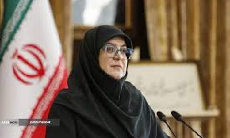 سخنگوی دولت: خسارات به مردم مطابق قانون پرداخت می‌شود