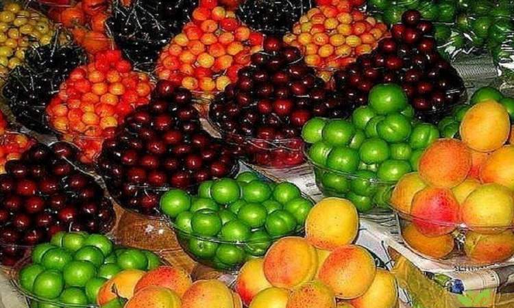 میوه ارزان می شود