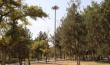 نصب 572 پروژکتورهای روشنایی در بوستان‌های منطقه ۱۹
