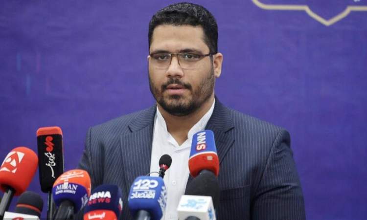 تهرانی‌ها گوشت گران نخرند!