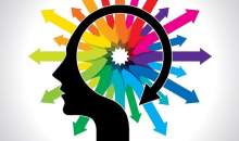 هنر زندگی (۲۲۱)