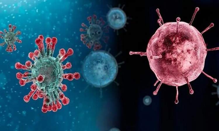 هشدار اوج‌گیری ویروس‌های تنفسی در پاییز