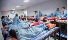 ۱۱۰هزار معتاد متجاهر و نسخه جدید دولت برای ساماندهی آنها